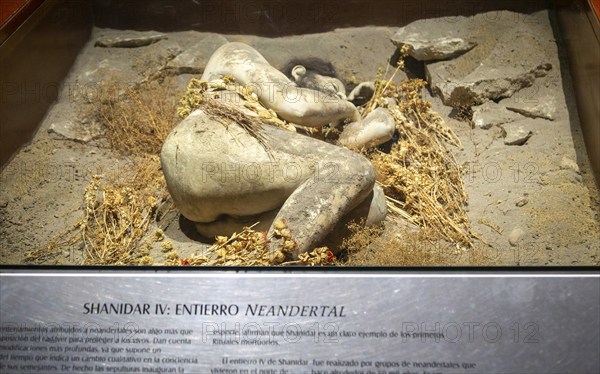 Model reconstruction of Neanderthal man, National Museum of Anthropology, Mexico City, Mexico,