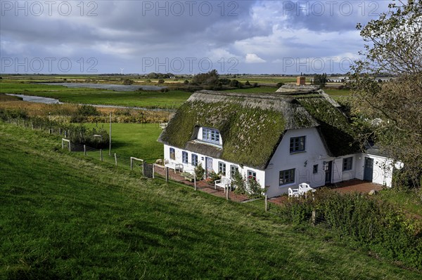 Thatched-roof house on Kaydeich, Pellworm Island, Schleswig-Holstein Wadden Sea National Park,