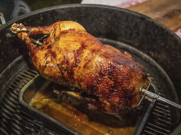 St Martin's goose, traditional meal on St Martin's Day. The goose is cooked on a kettle grill in