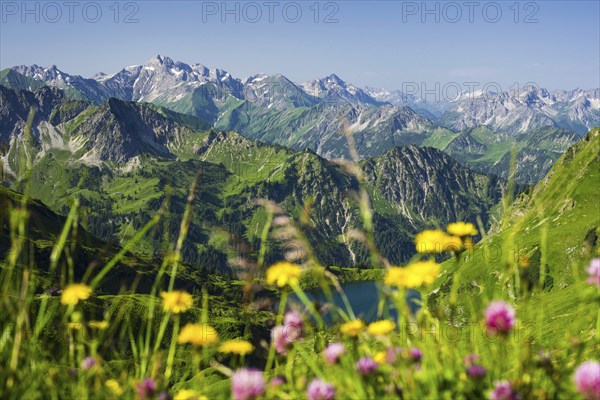 Panorama from Zeigersattel to Seealpsee, Allgaeu Alps, Allgaeu, Bavaria, Germany, Europe