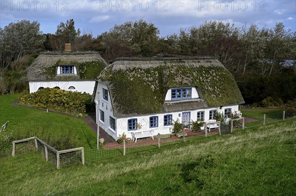 Thatched-roof house on Kaydeich, Pellworm Island, Schleswig-Holstein Wadden Sea National Park,