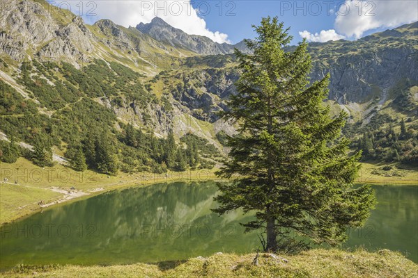Lower Gaisalpsee, behind it the Entschenkopf (2043m), Allgäu Alps, Allgaeu, Bavaria, Germany,