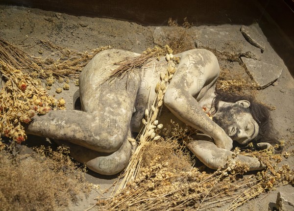 Model reconstruction of Neanderthal man, National Museum of Anthropology, Mexico City, Mexico,