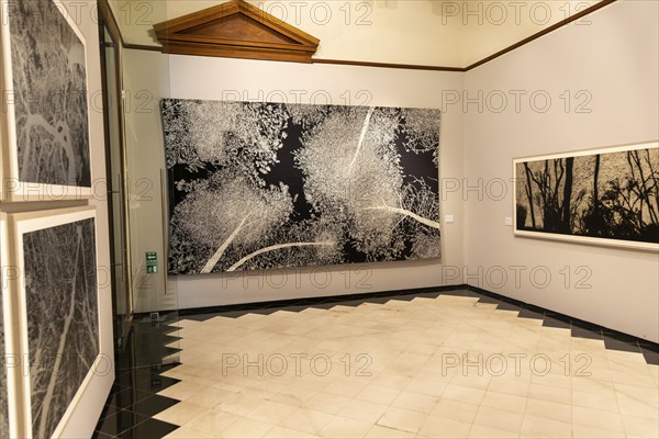 Art exhibition 'Atlas' by Jan Hendrix, Casa de Montejo, Merida, Yucatan State, Mexico, Central