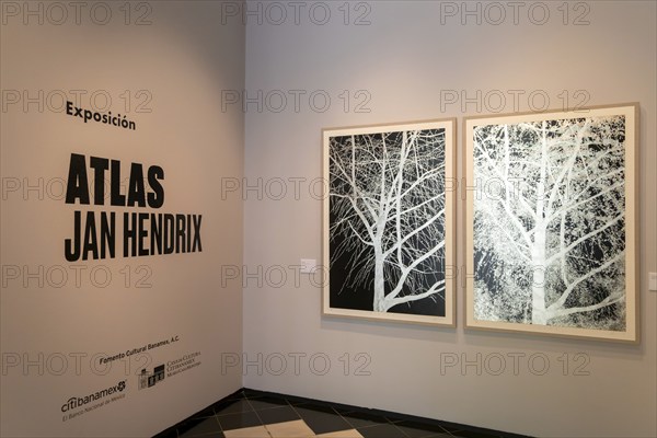Art exhibition 'Atlas' by Jan Hendrix, Casa de Montejo, Merida, Yucatan State, Mexico, Central