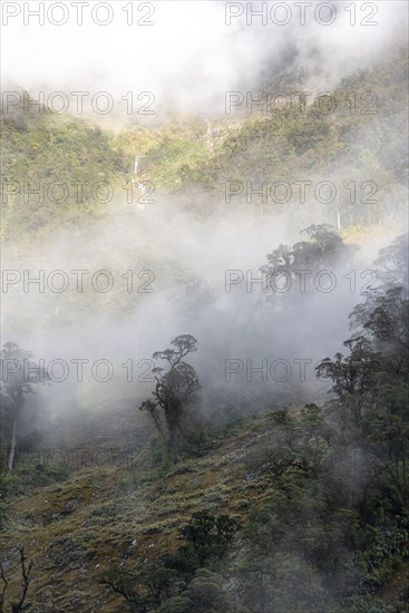 A new morning dawning at Doutful Sound, clouds hanging low in the mountains, South Island of New