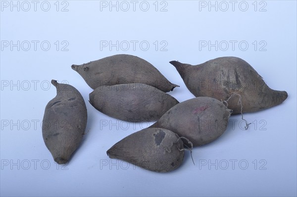 Yacon roots on a white background