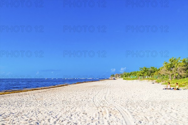 Playa del Carmen Mexico 05. August 2021 Nature and palm trees at tropical mexican beach 88 Punta