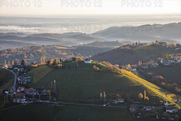 Morning atmosphere, morning light falls on hilly landscape and vineyards, early morning mist in the