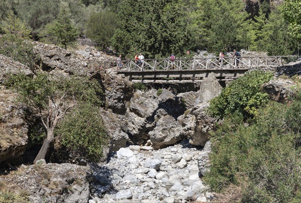 A picture of the classic Samaria Gorge landscape, with rocks on the ground and surrounding trees.