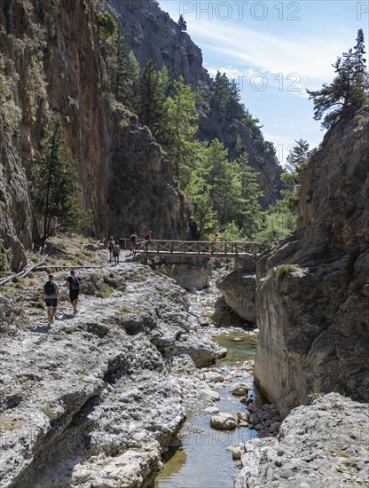 A picture of the classic Samaria Gorge landscape, with rocks on the ground and surrounding trees