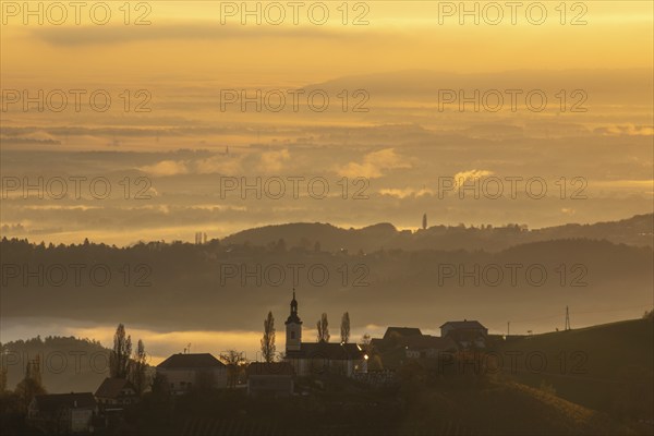 Autumn atmosphere in the golden morning light, fog drifts over the hilly landscape, silhouette of