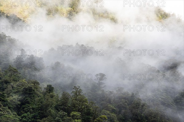 A new morning dawning at Doutful Sound, clouds hanging low in the mountains, South Island of New