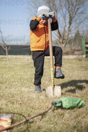 Six-year-old boy in the garden plants tree during sunny spring day.