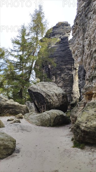 Tyssa Walls, rock town, Bohemian Switzerland, Czech Republic, Europe