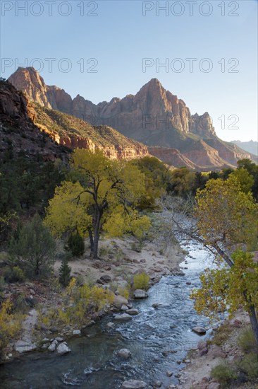 Virgin River Valley and sunlit mountains in Zion National Park