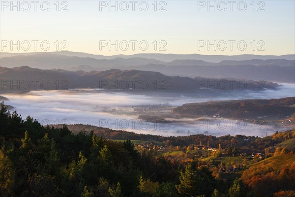 Autumn atmosphere in the morning light, fog drifts over forest with foliage colouring, vineyards