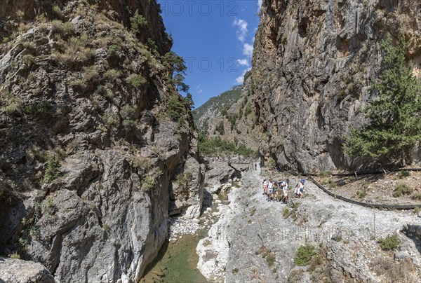 A picture of the classic Samaria Gorge landscape, with rocks on the ground and surrounding trees
