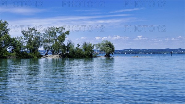 Mehrerau lakeshore near Bregenz with an ancient silver willow and view of Lindau