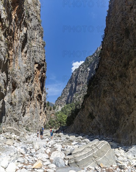 A picture of the classic Samaria Gorge landscape, with rocks on the ground and surrounding trees