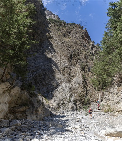 A picture of the classic Samaria Gorge landscape, with rocks on the ground and surrounding trees