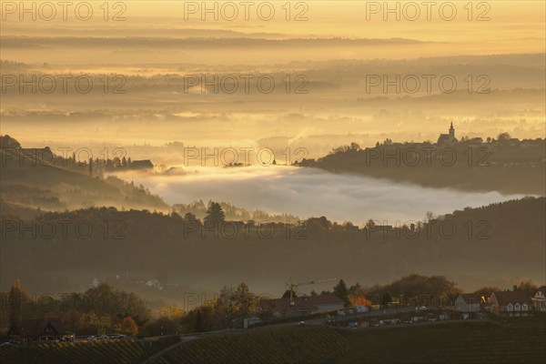 Autumn atmosphere in the golden morning light, fog drifts over the hilly landscape, silhouette of