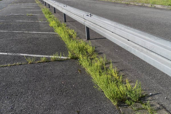 Guard rails on the road in the sun