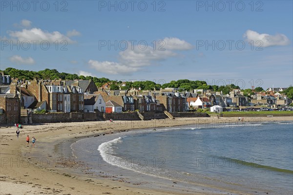 Houses along a beach with walkers by the sea under a blue sky on a sunny day, North Berwick,