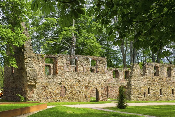 Nimbschen Monastery
