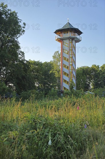 Lookout tower in the forest, Scheibenberg, Middle Ore Mountains, Ore Mountains, Saxony, Germany,