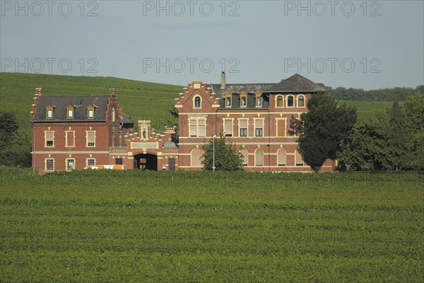 Former champagne cellar in the vines, villa, wine-growing area, vineyards, Hochheim am Main,