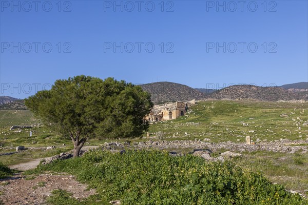 Remains, ruins at Hierapolis, Hieropolis, near Pamukkale, Denizli, Western Turkey, Turkey, Asia