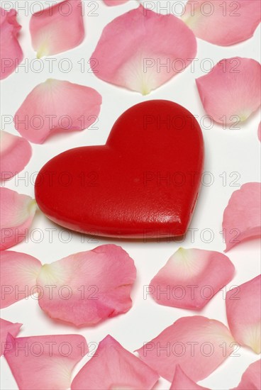 Rose petals and heart, rose petals