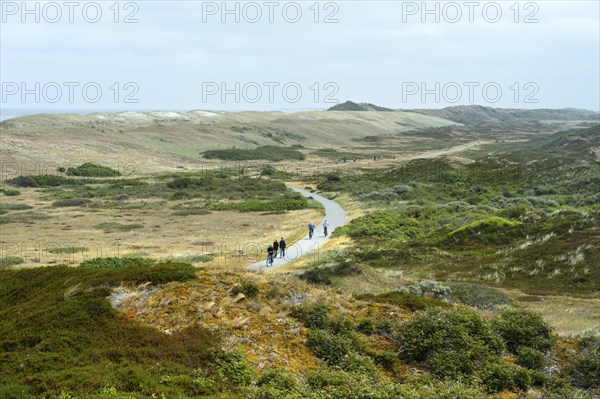 Pirolatal dune area cycling and hiking trail, North Sea island of Langeoog, East Frisian Islands,