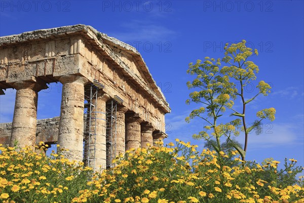 Temple of Hera, Temple of Hera in the former ancient city of Segesta, the province of Trapani,