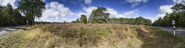 270 degree panorama of a heath landscape with federal road near Schneverdingen, Heidekreis, Lower