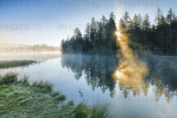 Rays of sunshine make their way through forest and fog at the mirror-smooth moorland lake Étang de