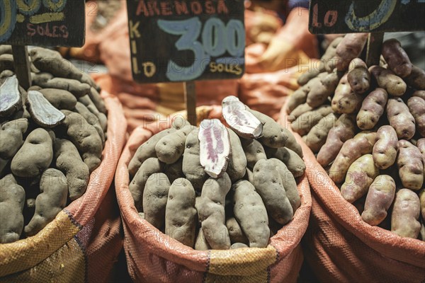 Potato variety, Mercado Mayorista, Huancayo, PeruIca Street, Huancayo, Peru, South America