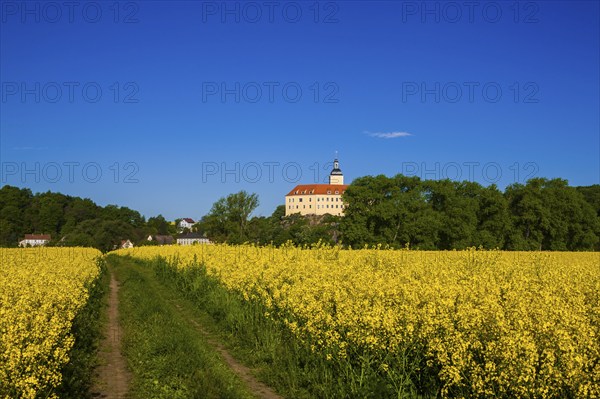 Hirschstein Castle, also known as Neuhirschstein, is a castle in the municipality of Hirschstein in