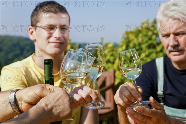 Not far from the Boselspitze, leaning towards the Elbe, is the vineyard known as the Rote Presse .