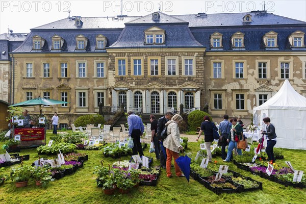 Gaussig Castle Park, LANDPARTY