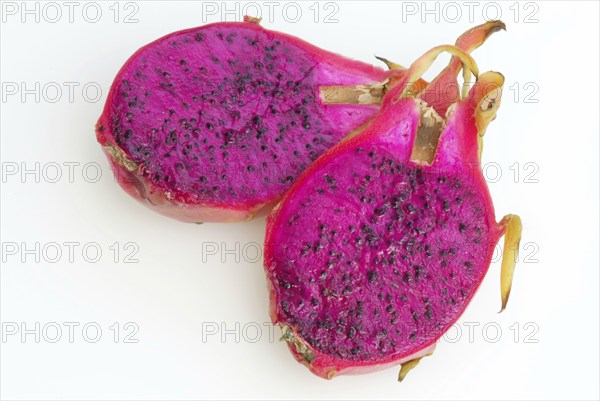 Triangular hylocereus (Hylocereus triangularis), pitahaya, crops, fruits, fruit, cacti (Cactaceae),