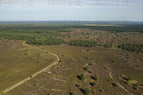 Aerial view of the Osterheide during the heath blossom in the Lüneburg Heath. Schneverdingen, Lower