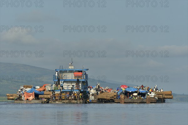 Freighter transporting logs of tropical timber on the Congo River, near Kinshasa, Kinshasa