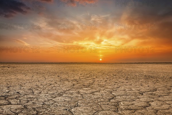 Global worming concept, cracked scorched earth soil drought desert landscape dramatic sunset