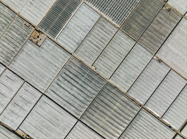 Masses of shimmering plastic greenhouses near El Ejido, aerial view, drone shot, Almería province,