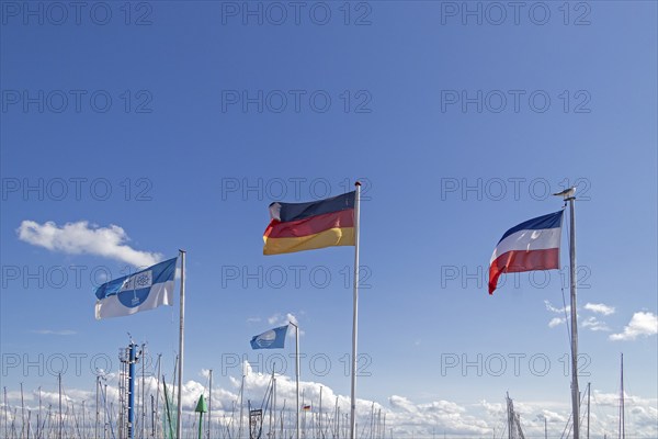 Flags, Harbour, Maasholm, Schleswig-Holstein, Germany, Europe