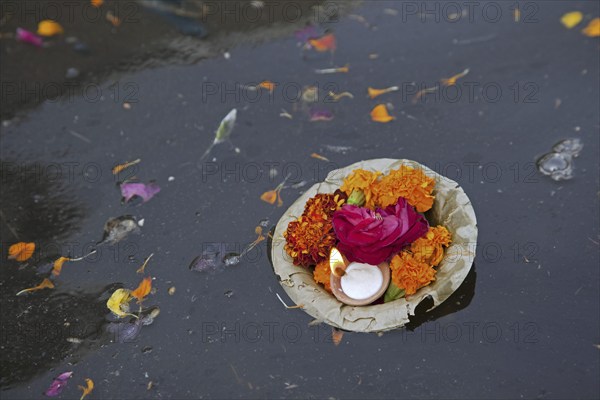 Offerings like flowers and candle floating on the sacred Yamuna river in Mathura, Uttar Pradesh,