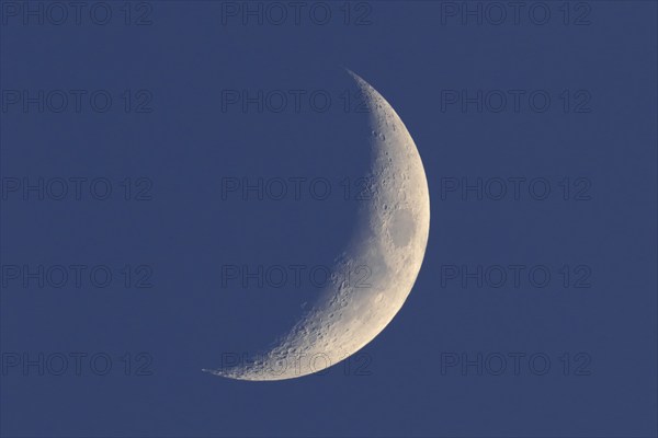 Crescent moon, waning moon, Flusslandschaft Peenetal nature park Park, Mecklenburg-Western