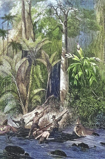 Construction of a road across the Isthmus of Panama, Raft descending the Rama River, 1869, Panama,
